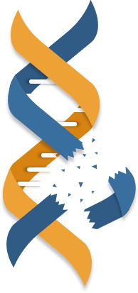 We have lost some nucleotides and this page! We have lost some nucleotides and this page!