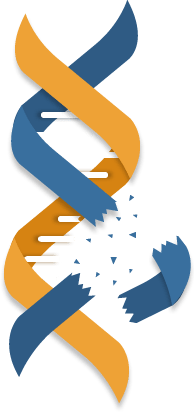 We have lost some nucleotides and this page!